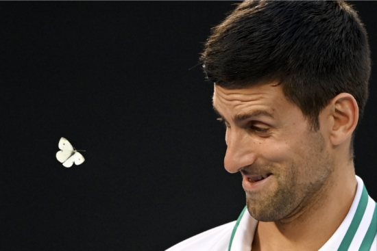 Novak Djokovid
